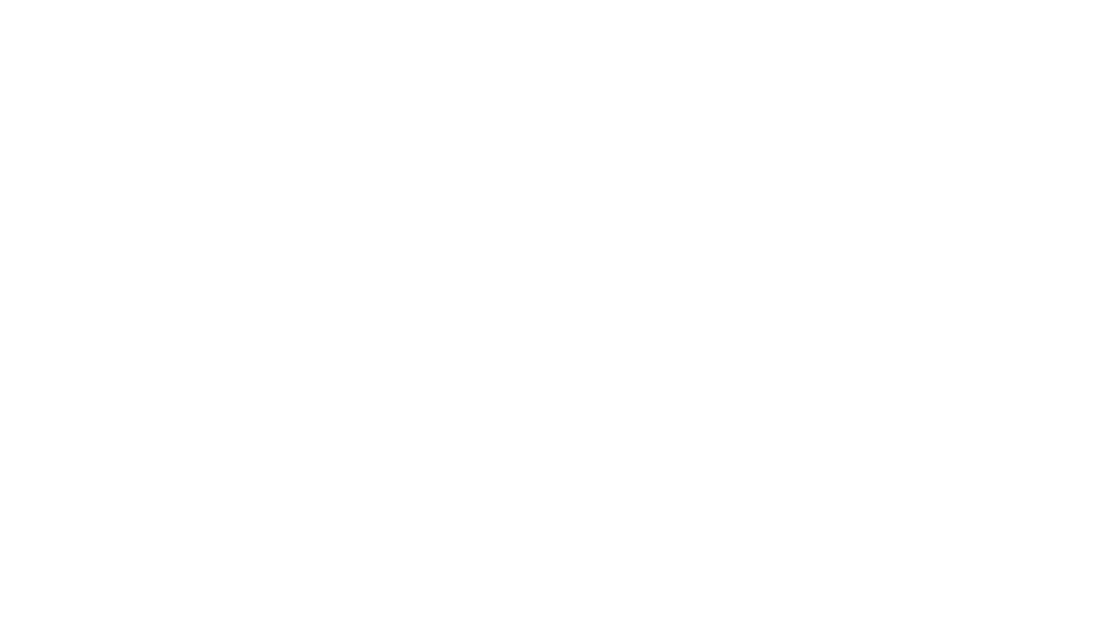 PunHin Logo White